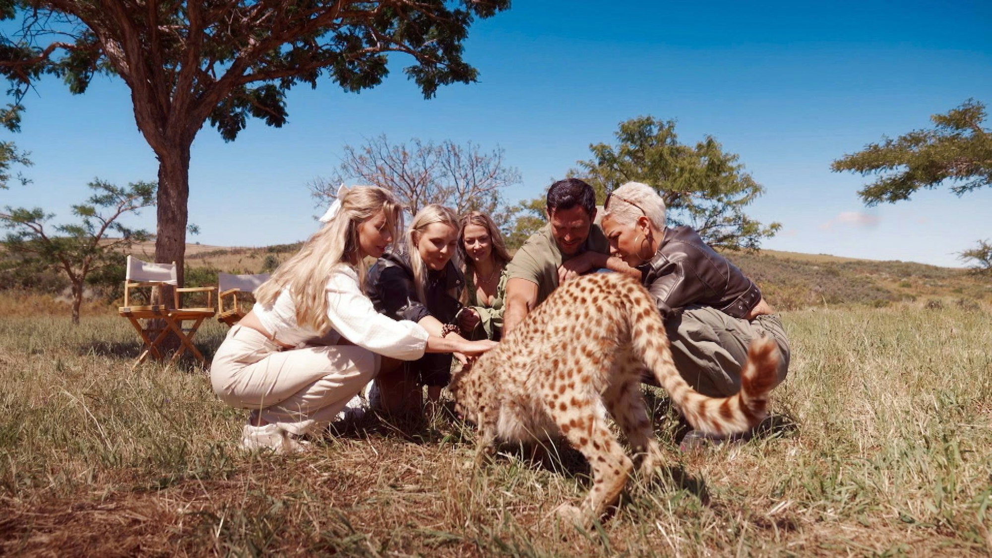 Vier Frauen und ein Mann streicheln einen Geparden.