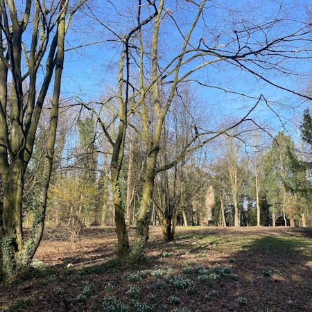 Der Bedburger Schlosspark wurde nach Abholzungen und Umbauarbeiten nun wieder für Spaziergänger geöffnet. Die Stadt warnt aber vor matschigen Wegen.