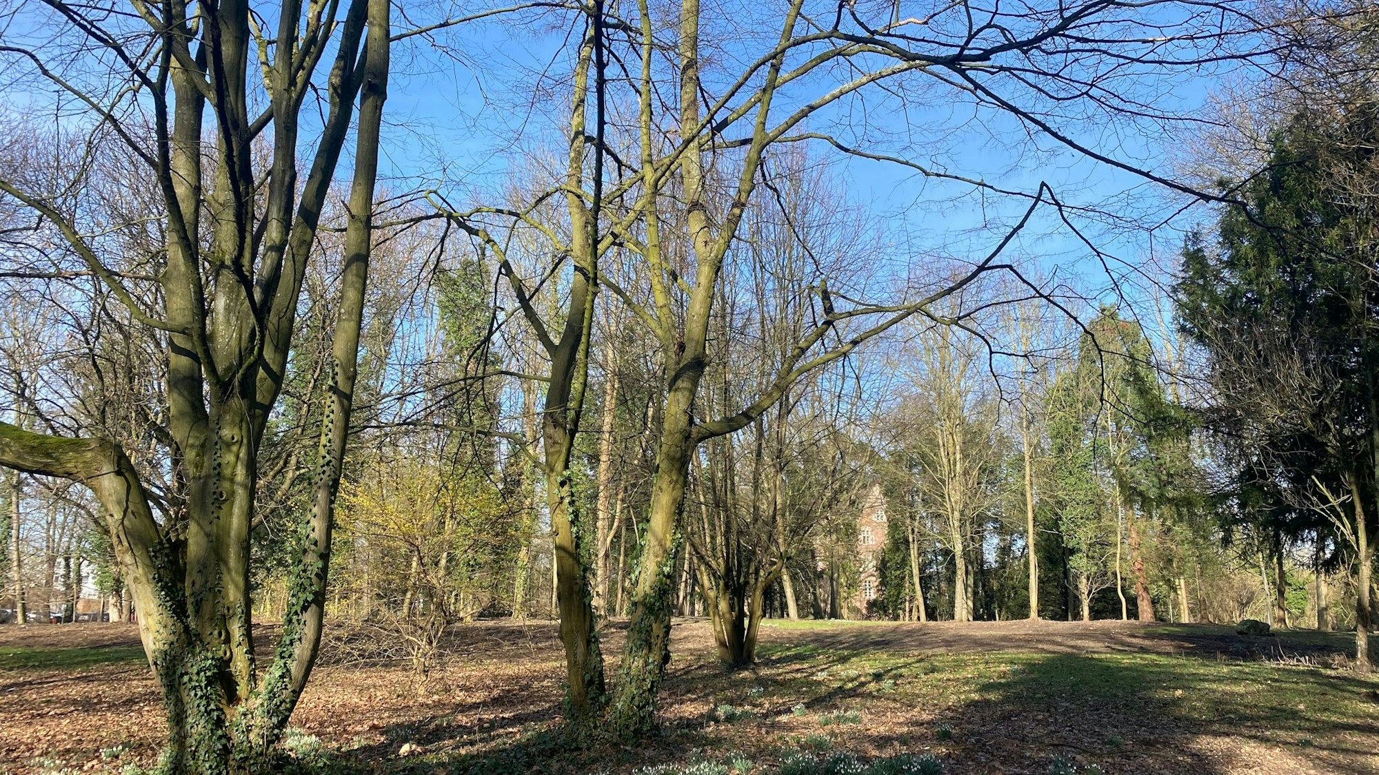 Der Bedburger Schlosspark wurde nach Abholzungen und Umbauarbeiten nun wieder für Spaziergänger geöffnet. Die Stadt warnt aber vor matschigen Wegen.