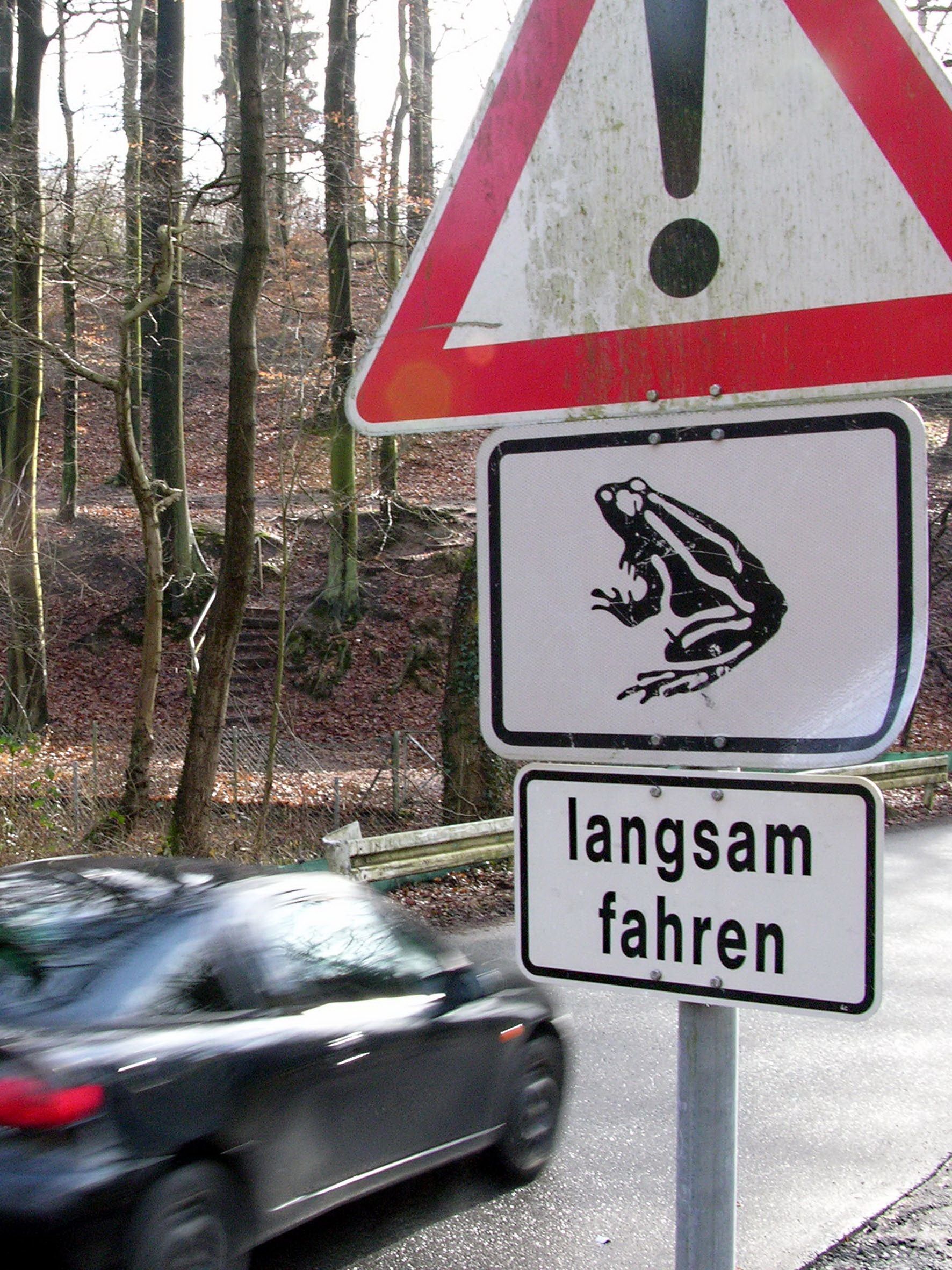 Zwei Verkehrsschilder warnen vor der Krötenwanderung in Leverkusen. Auf einem Schild ist eine Kröte abgebildet, auf dem anderen steht „langsam fahren“.