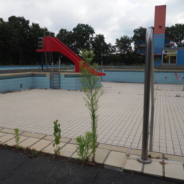 Zu sehen ist ein leeres Freibad-Becken, in dem Pflanzen wachsen.