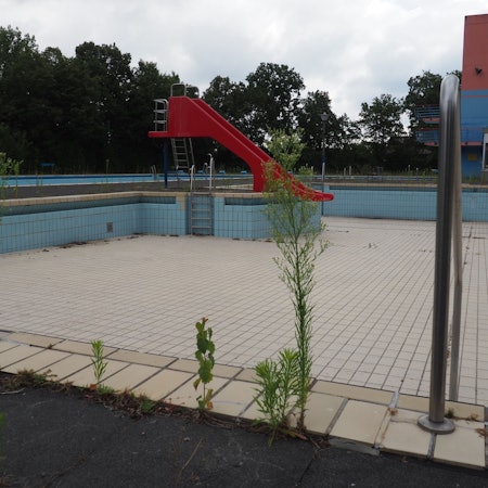 Zu sehen ist ein leeres Freibad-Becken, in dem Pflanzen wachsen.