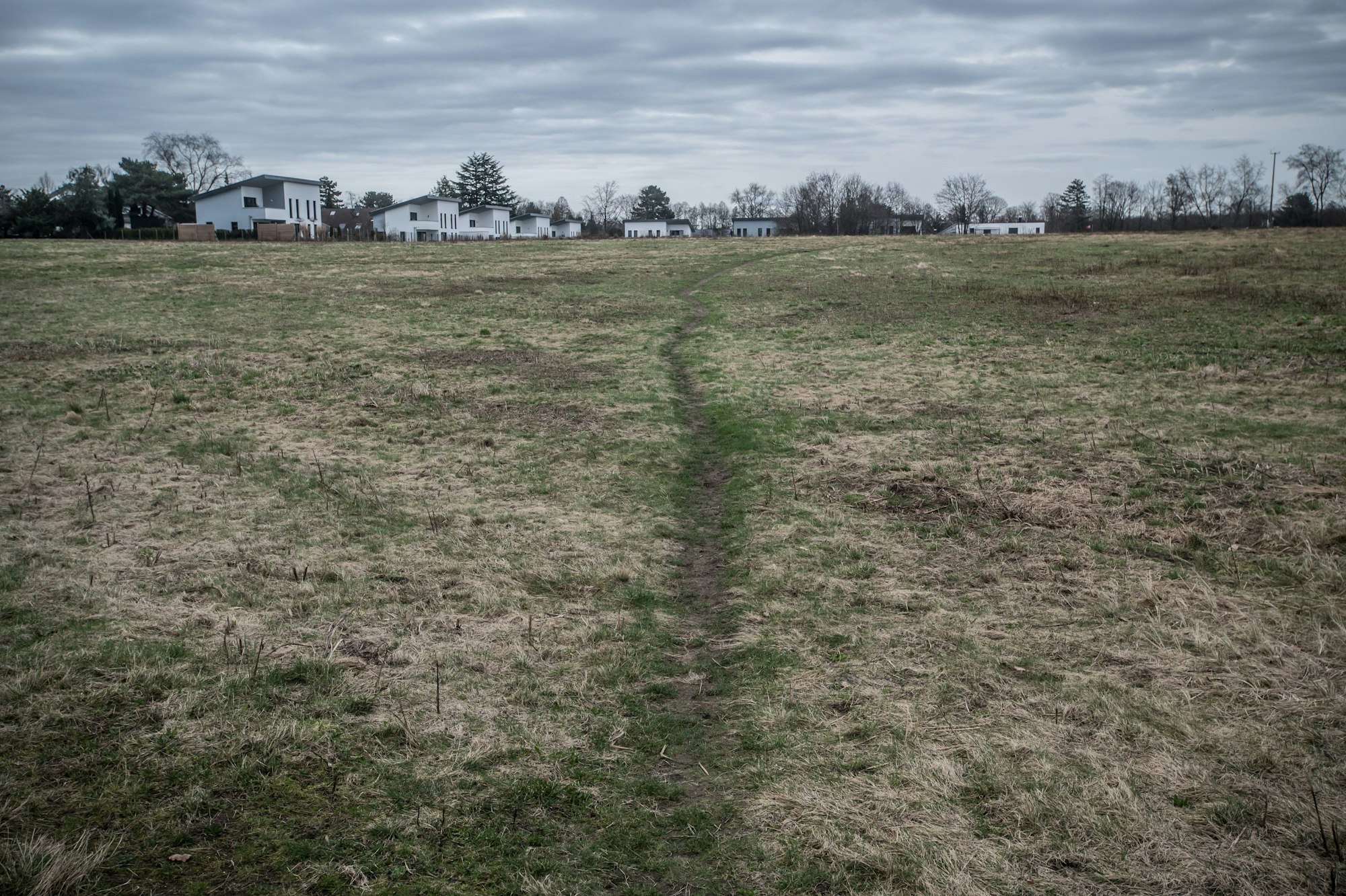 Wiese im Kurtekotten in der Einflugschneise auf der Bayer04 ein Gebäude errichten will. Foto: Ralf Krieger