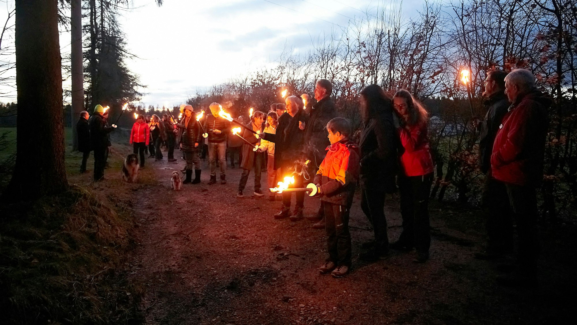 Teilnehmer einer Fackelwanderung in Ramscheiderhöhe stehen auf einem Weg am Waldrand.