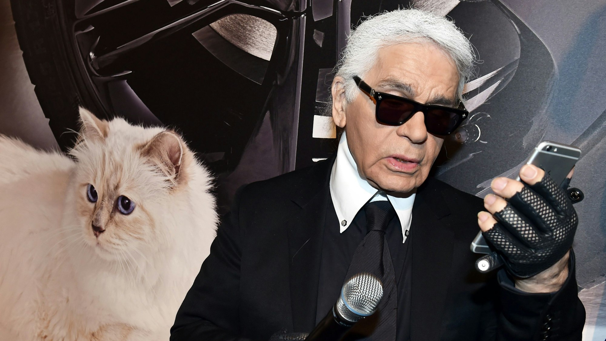 Karl Lagerfeld und seine Birma-Katze Choupette waren unzertrennlich.