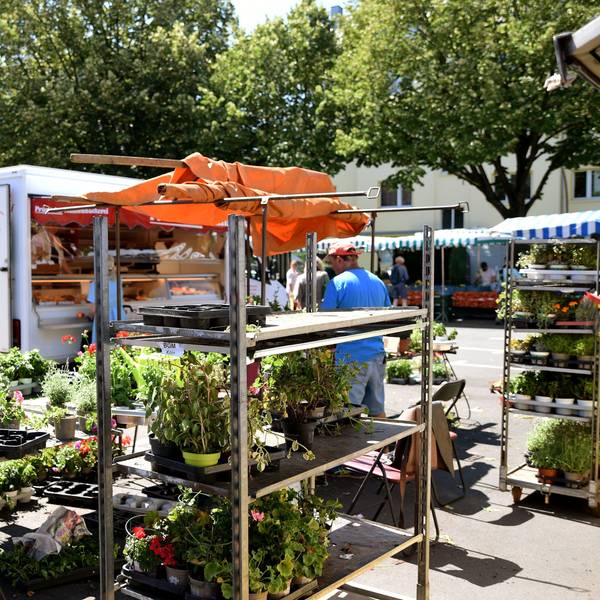 Die Belastungszeugin bot ihre Waren auch auf dem Auerbachplatz in Sülz an.