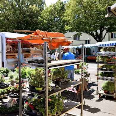 Die Belastungszeugin bot ihre Waren auch auf dem Auerbachplatz in Sülz an.
