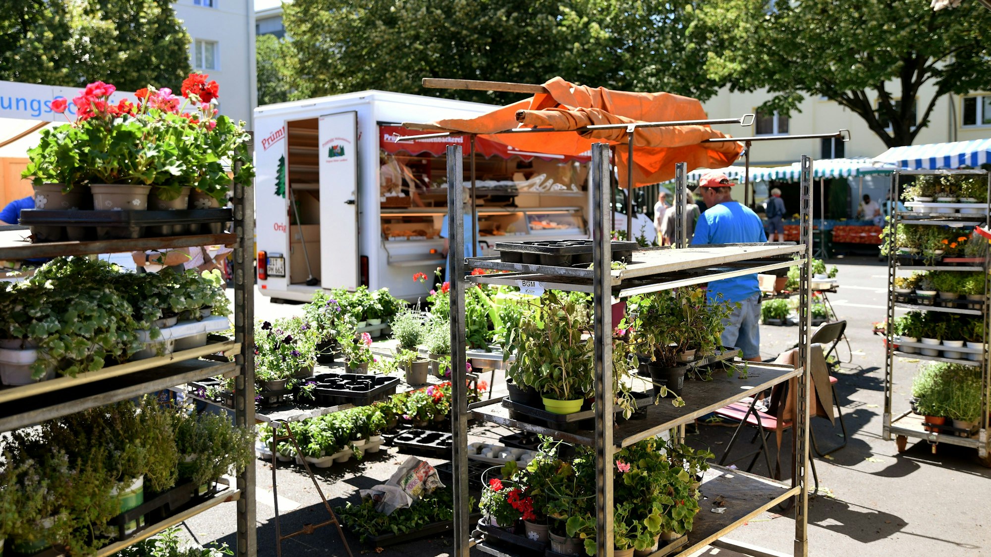 Die Belastungszeugin bot ihre Waren auch auf dem Auerbachplatz in Sülz an.