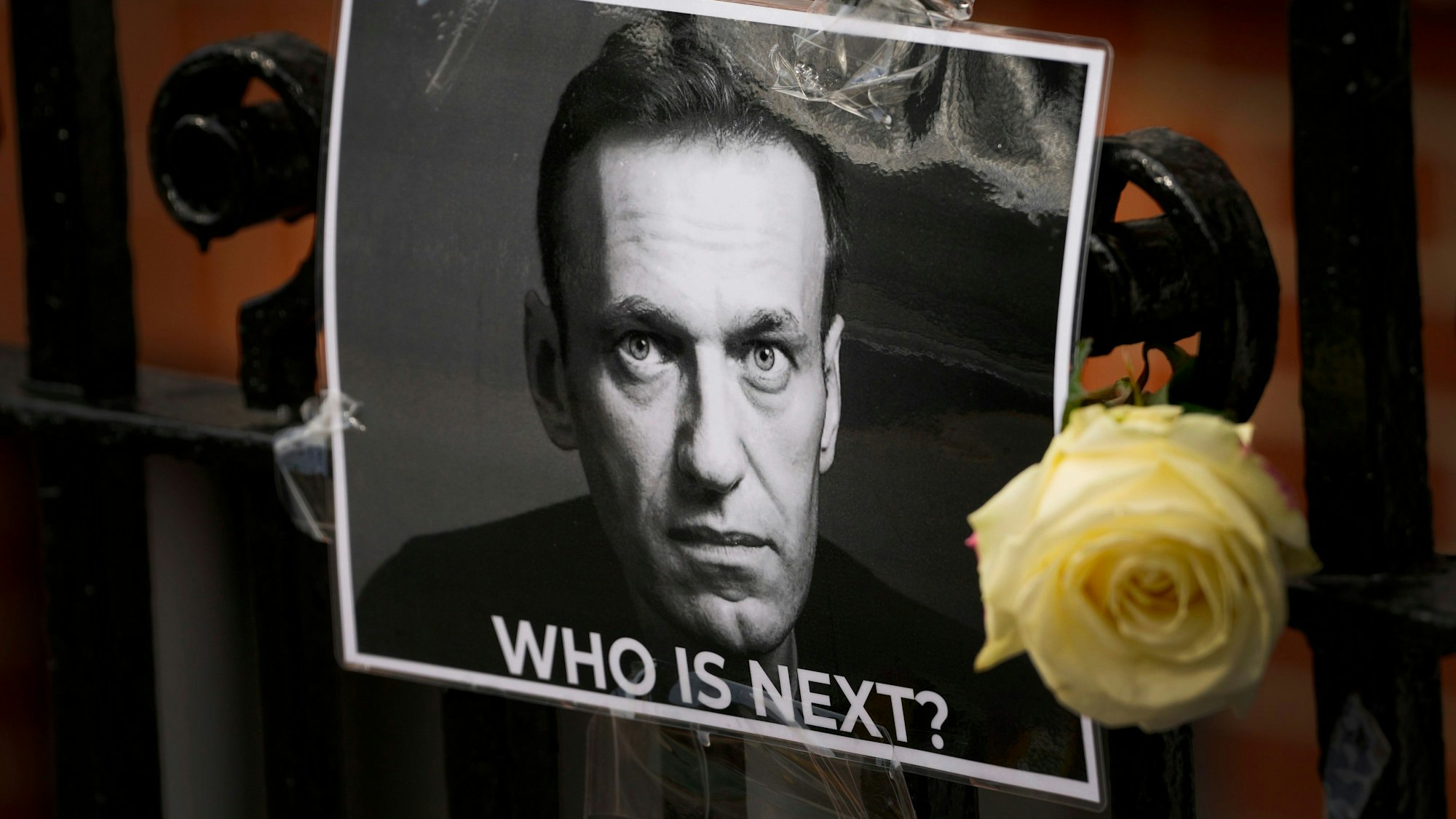 Eine Blume und ein Bild sind in Gedenken an den gestorbenen Kremlgegner Alexej Nawalny in der Nähe der russischen Botschaft in London angebracht. (Symbolbild)