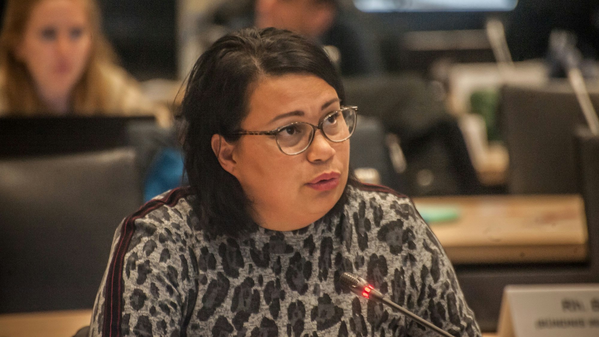 Milanie Kreutz, SPD-Fraktionsvorsitzende (Archivfoto)