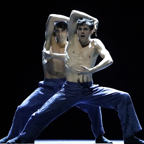 Dark Matter II von Marco Goecke