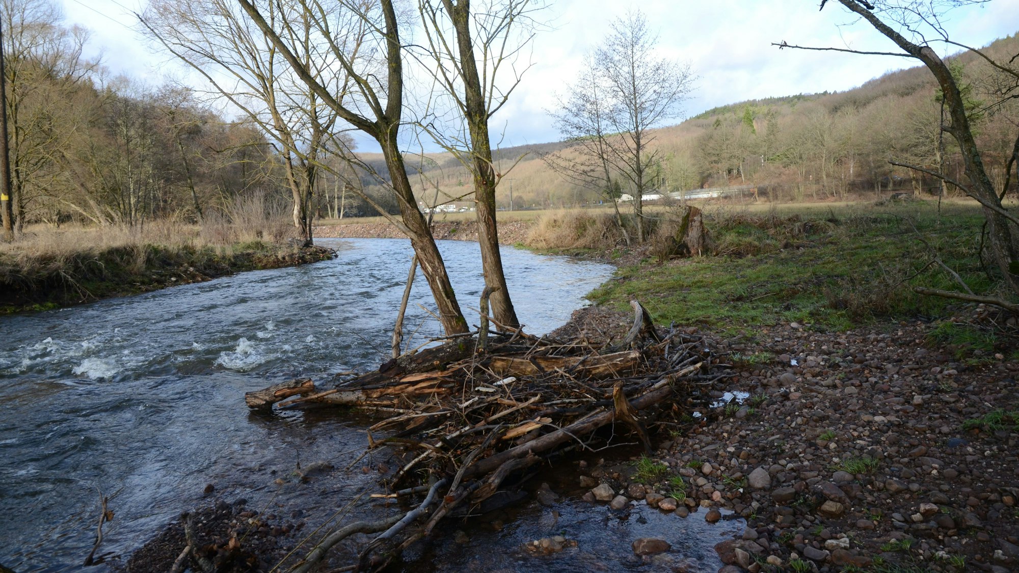 Blick auf die Urft und die angrenzenden Wiesen..