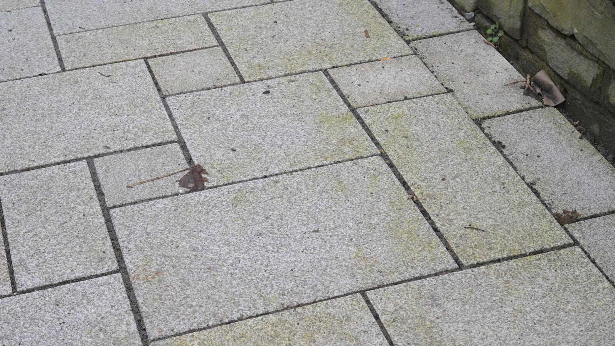 Nahaufnahme der Natursteinplatten: Sie sind zum Teil grünlich verfärbt.