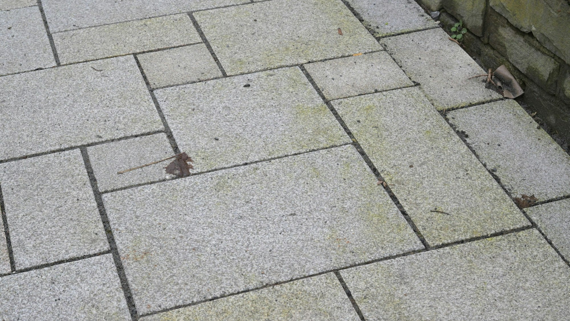 Nahaufnahme der Natursteinplatten: Sie sind zum Teil grünlich verfärbt.