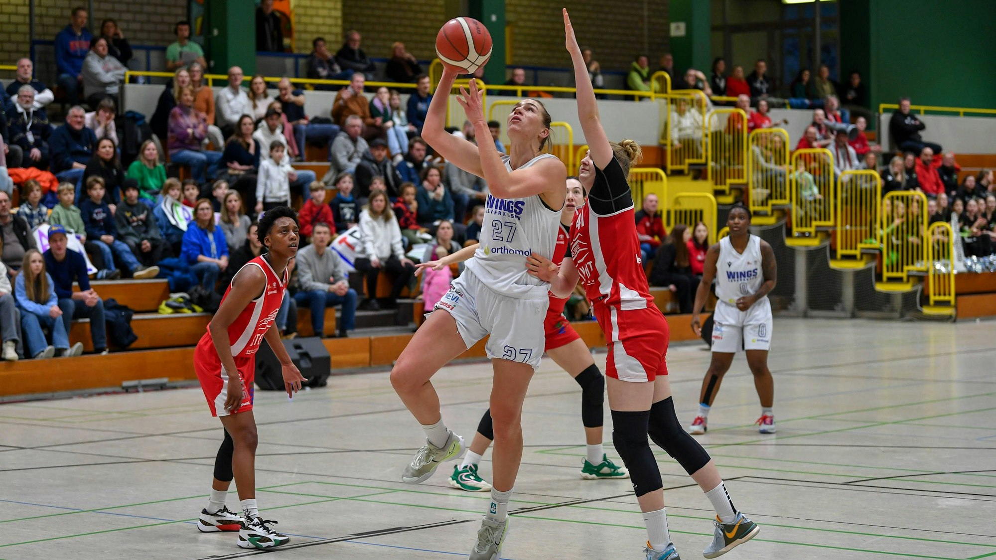 1. Damen Basketball Bundesliga: Orthomol WINGS Leverkusen vs. Herner TC, 21.01.2024 Lisa Koop Orthomol WINGS Leverkusen 27, 1. Damen Basketball Bundesliga: Orthomol WINGS Leverkusen vs. Herner TC am 21.01.2024 in der Sporthalle Werner-Heisenberg-Gymnasium in Opladen Nordrhein-Westfalen *** 1 Womens Basketball Bundesliga Orthomol WINGS Leverkusen vs Herner TC, 21 01 2024 Lisa Koop Orthomol WINGS Leverkusen 27 , 1 Womens Basketball Bundesliga Orthomol WINGS Leverkusen vs Herner TC on 21 01 2024 at the Sporthalle Werner Heisenberg Gymnasium in Opladen Nordrhein Westfalen Copyright: xBEAUTIFULxSPORTS/Mueller-Laschetx