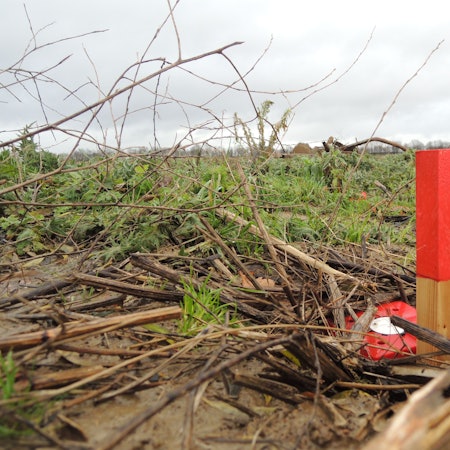 Bald sollen die Tiefbau-Arbeiten entlang der Autobahn A 61 beginnen. Dort soll ein Gewerbegebiet für Snipes und den Hyperscaler von MIcrosoft entstehen, das soll auch Steuereinnahmen verbessern. Bisher sieht man nur ein Feld mit roten Begrenzungspfosten.