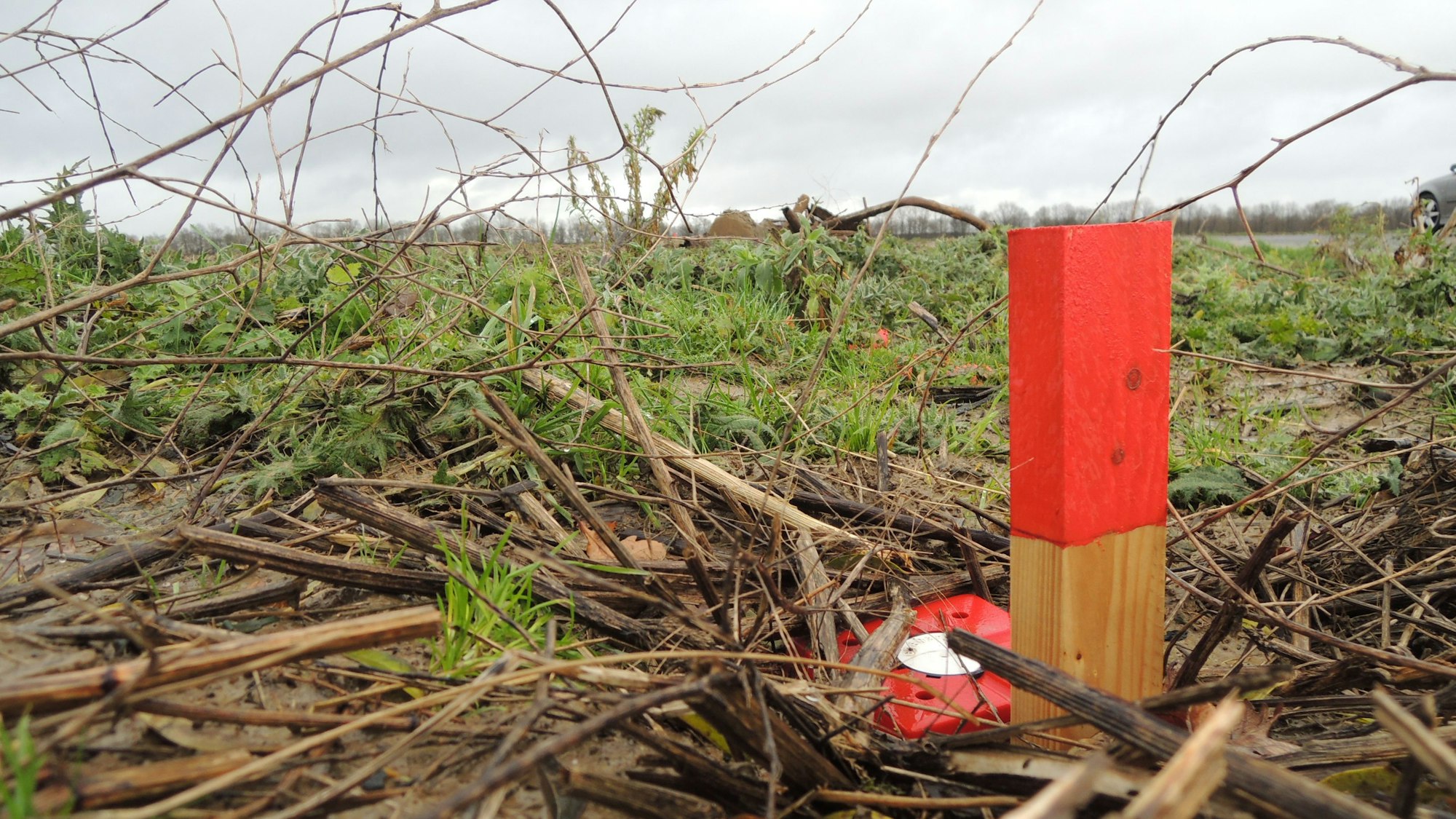 Bald sollen die Tiefbau-Arbeiten entlang der Autobahn A 61 beginnen. Dort soll ein Gewerbegebiet für Snipes und den Hyperscaler von MIcrosoft entstehen, das soll auch Steuereinnahmen verbessern. Bisher sieht man nur ein Feld mit roten Begrenzungspfosten.