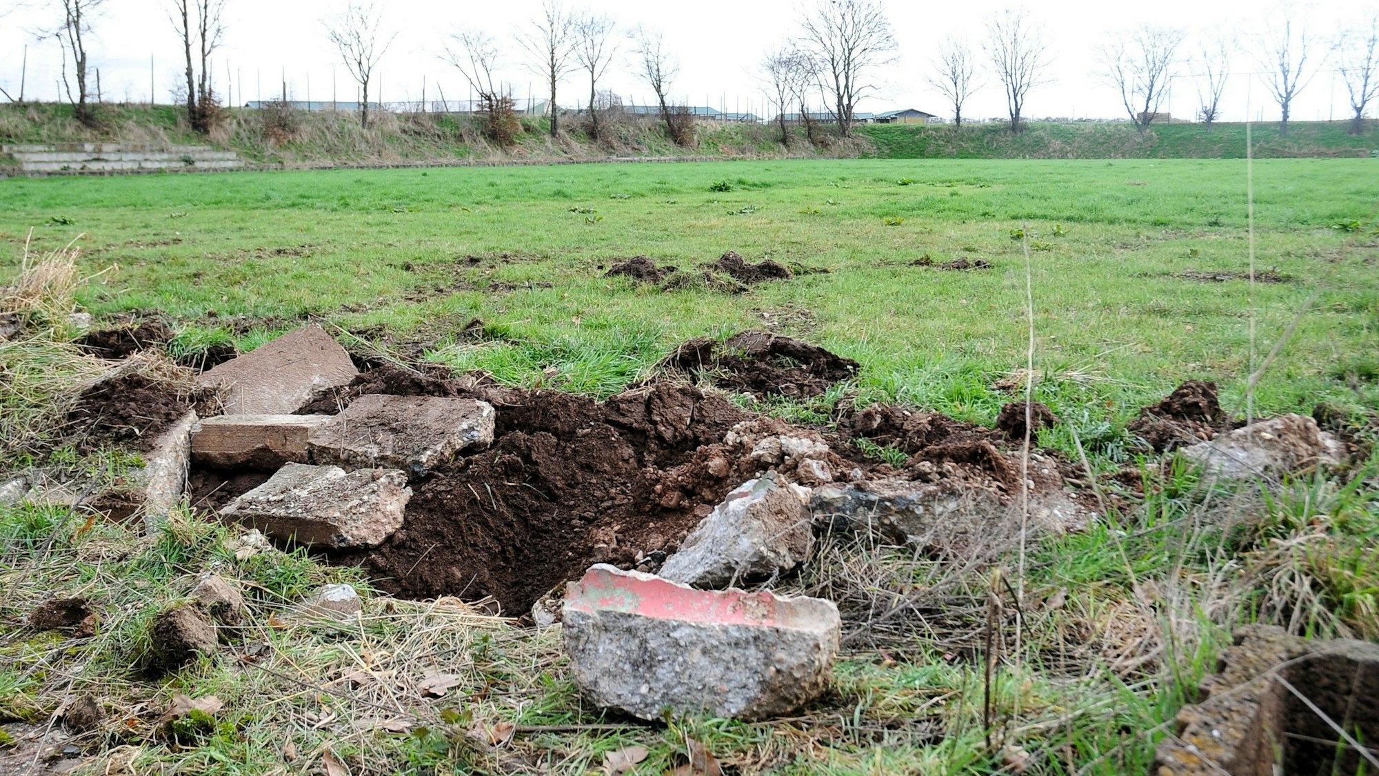 Zu sehen ist der Teil eines Fußballrasenplatzes.