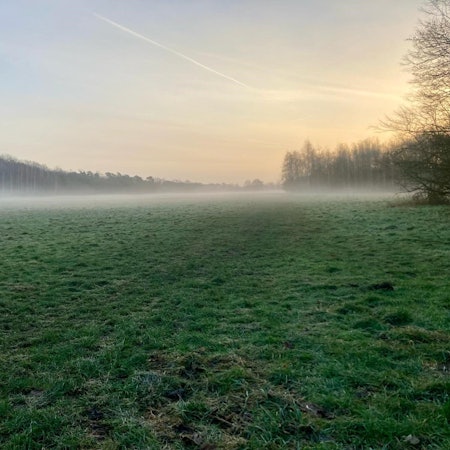 Auch in Köln gibt es Weitsicht: Grüngürtel-Wiesen am Militärring, Robinienweg.