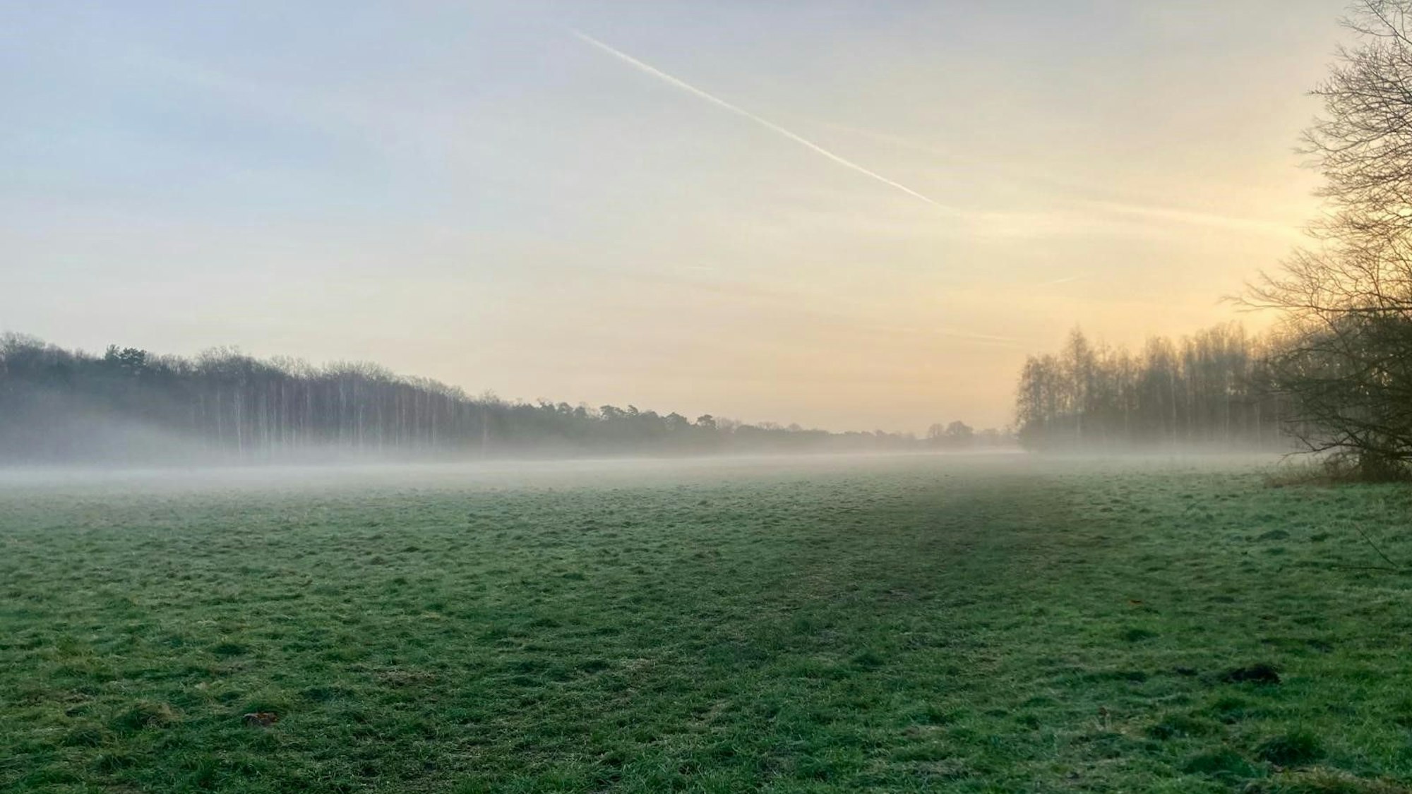 Auch in Köln gibt es Weitsicht: Grüngürtel-Wiesen am Militärring, Robinienweg.