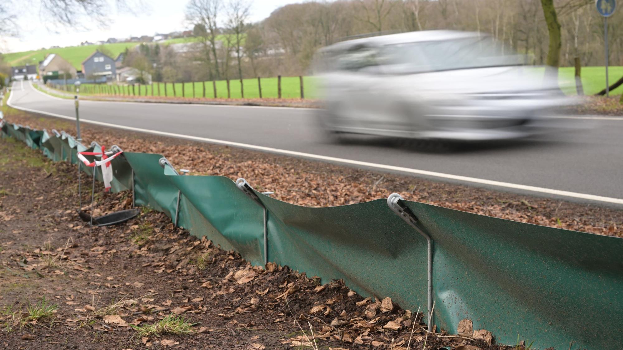Amphibien-Schutzzäune stehen an der Landstraße in Odenthal-Landwehr. Ein Auto fährt vorbei.
