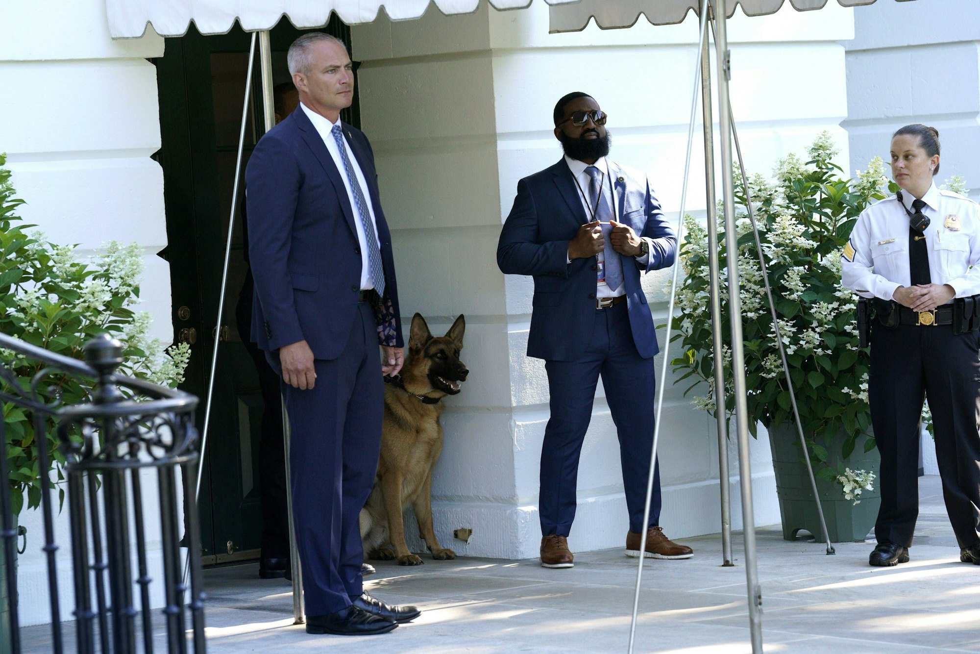 Vom Präsidenten geliebt, beim Secret Service wohl eher gefürchtet: Joe Bidens Schäferhund Commander und Mitarbeiter des US-Sicherheitsdiensts.