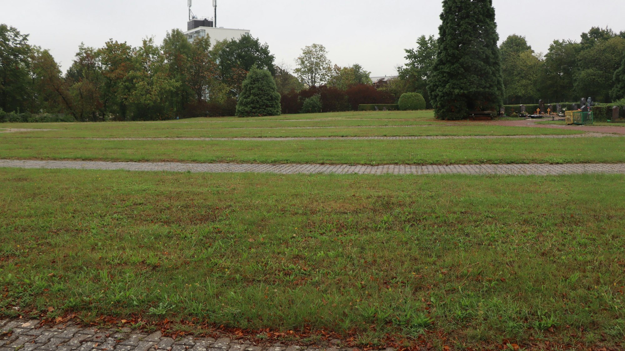 Auf dem Foto ist der Standort in Keldenich zu sehen, wo bereits Unterkünfte für Geflüchtete errichtet worden sind.