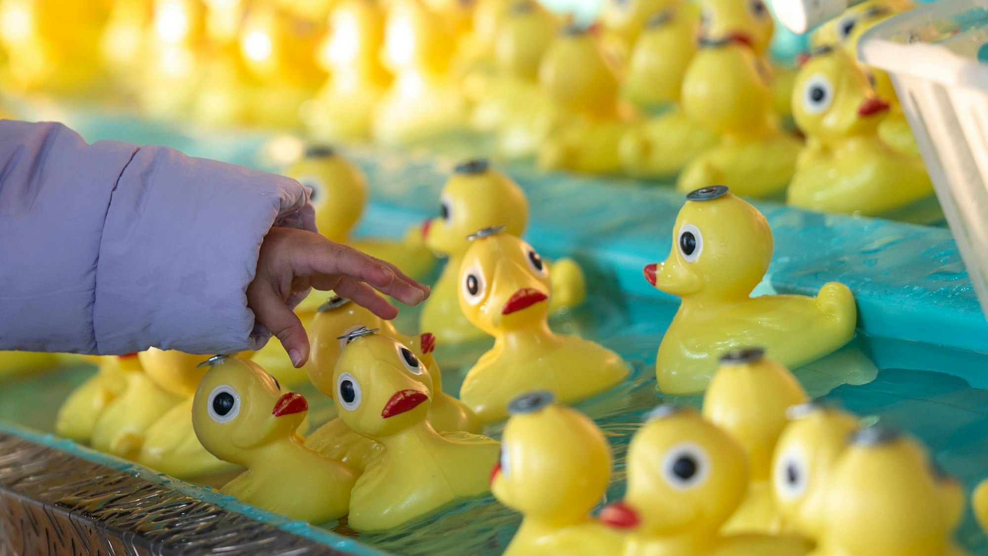 Entenangeln auf der Deutzer Kirmes