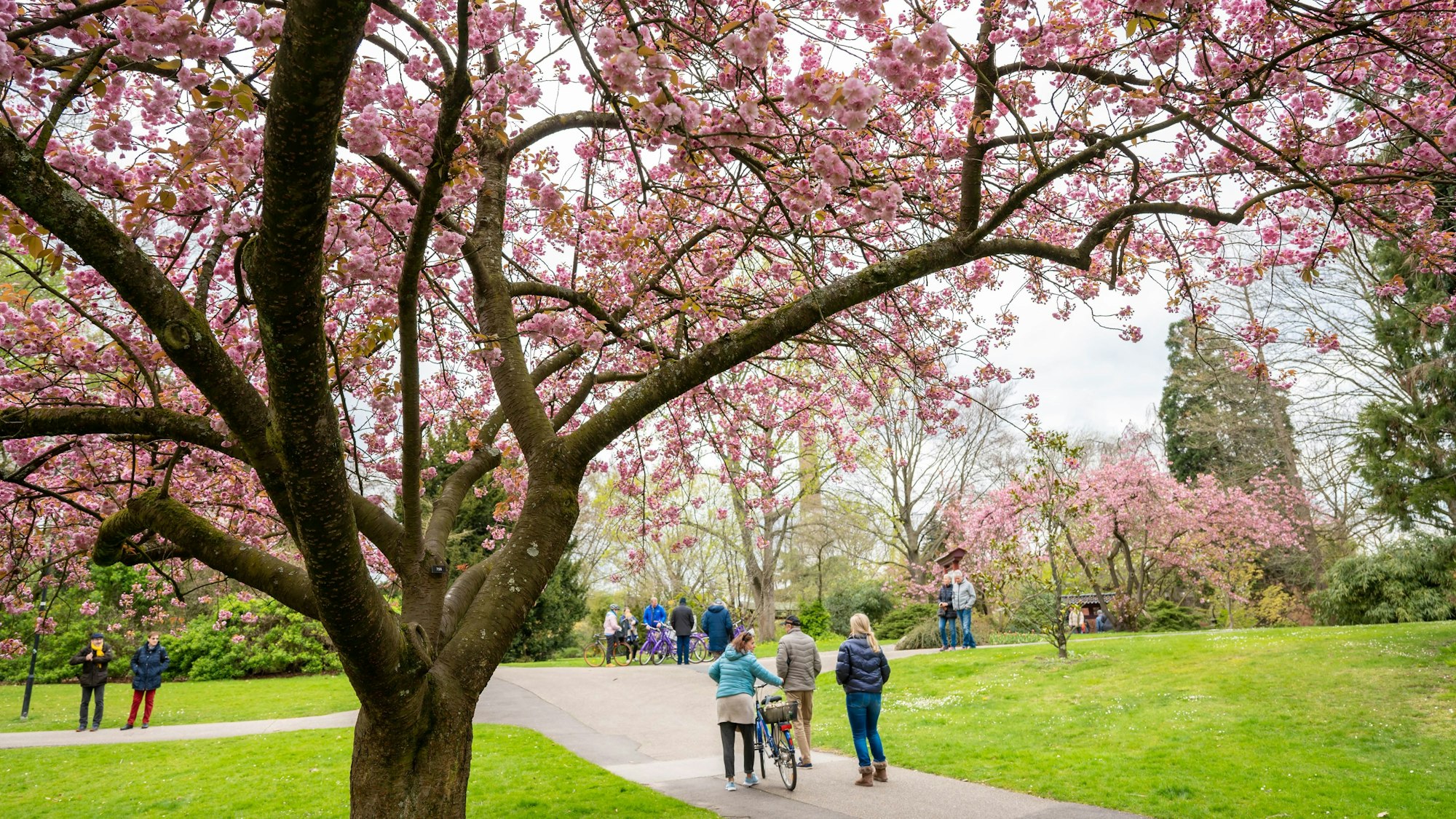 Impression im Japanischer Garten