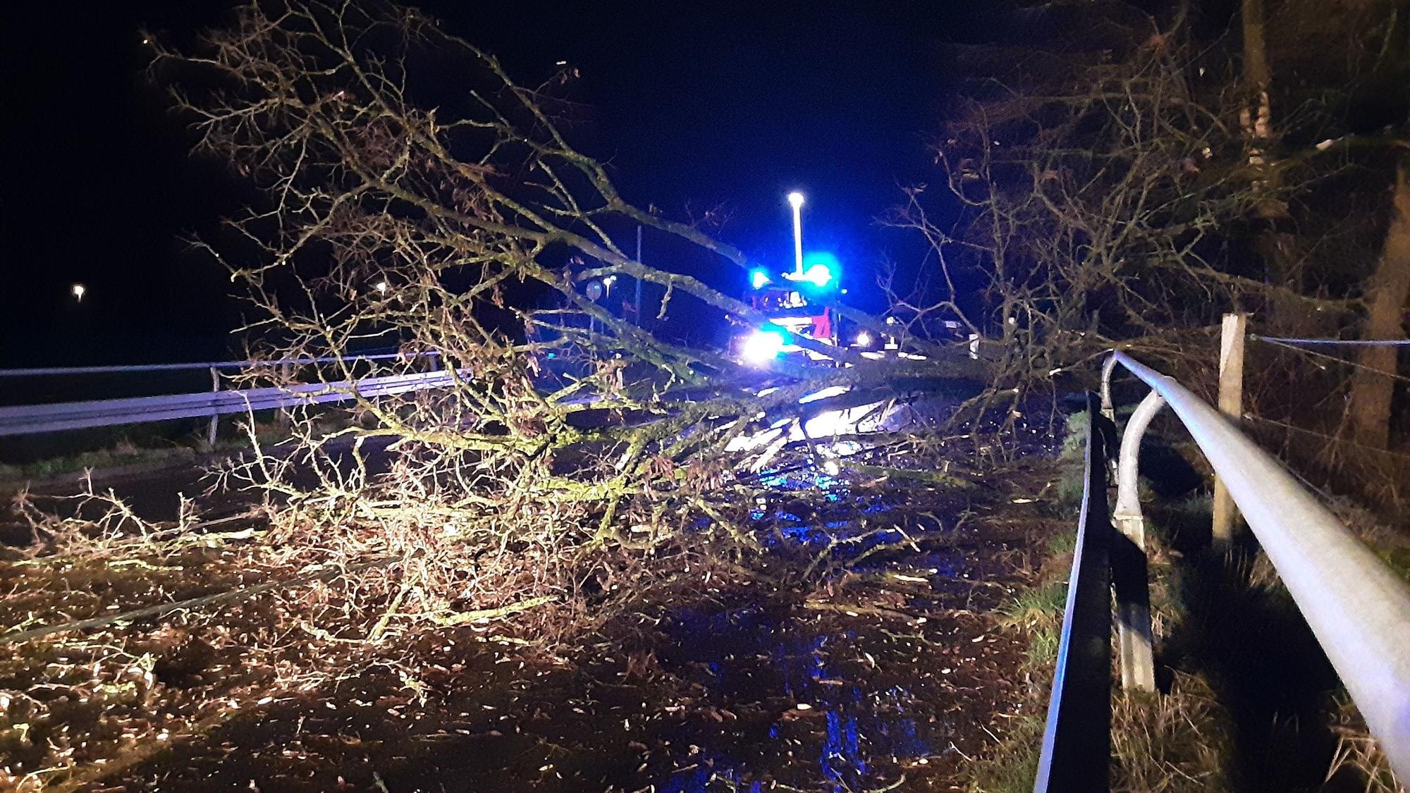 Ein Baum ist über eine Straße gestürzt, dahinter steht ein Feuerwehrfahrzeug mit Blaulicht.