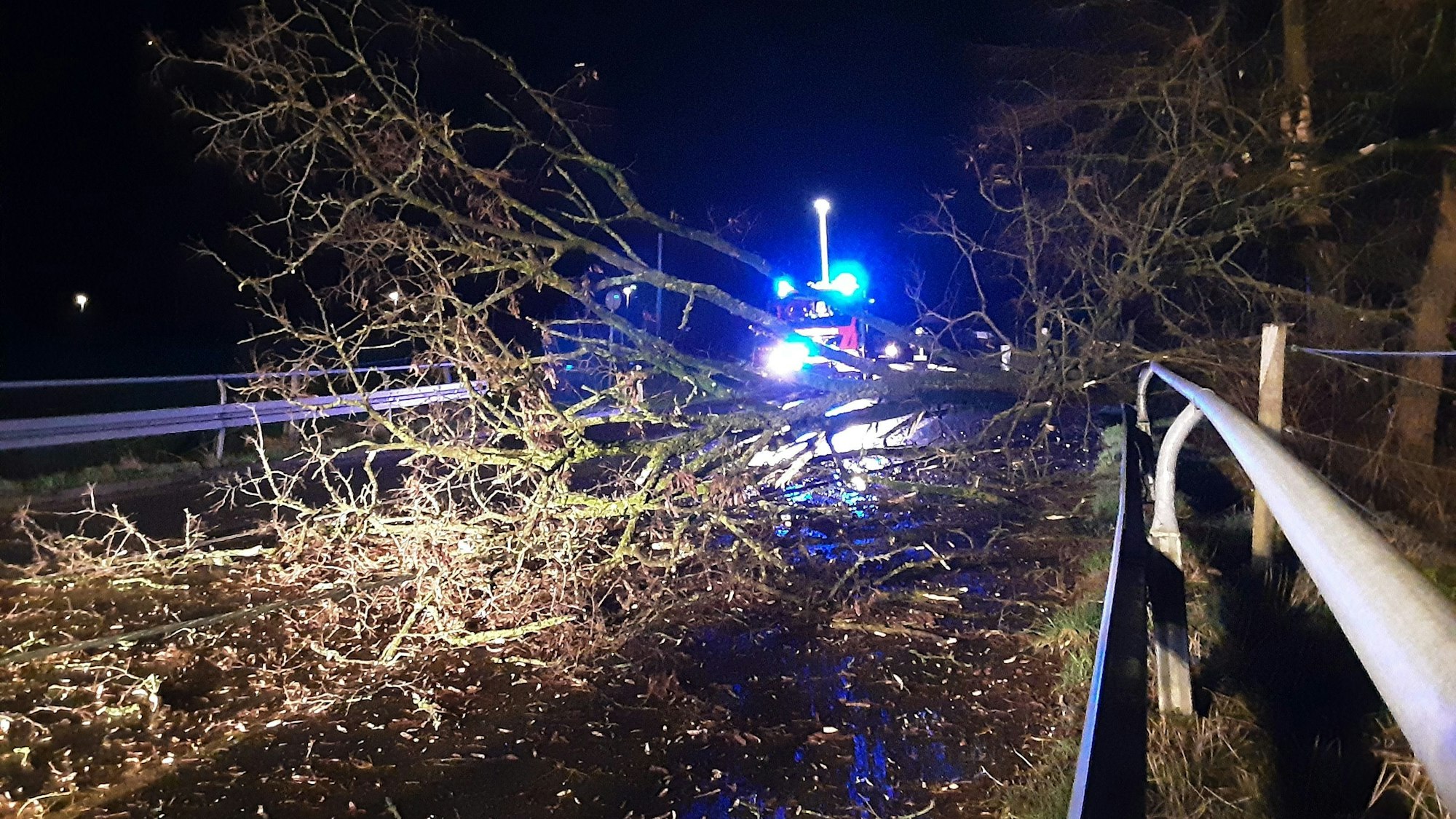 Ein Baum ist über eine Straße gestürzt, dahinter steht ein Feuerwehrfahrzeug mit Blaulicht.
