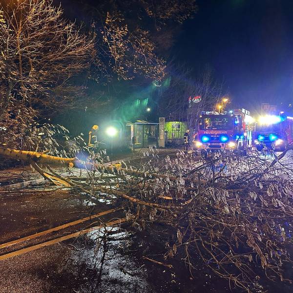 Ein Baum ist über eine Straße gestürzt, dahinter steht ein Feuerwehrfahrzeug mit Blaulicht.
