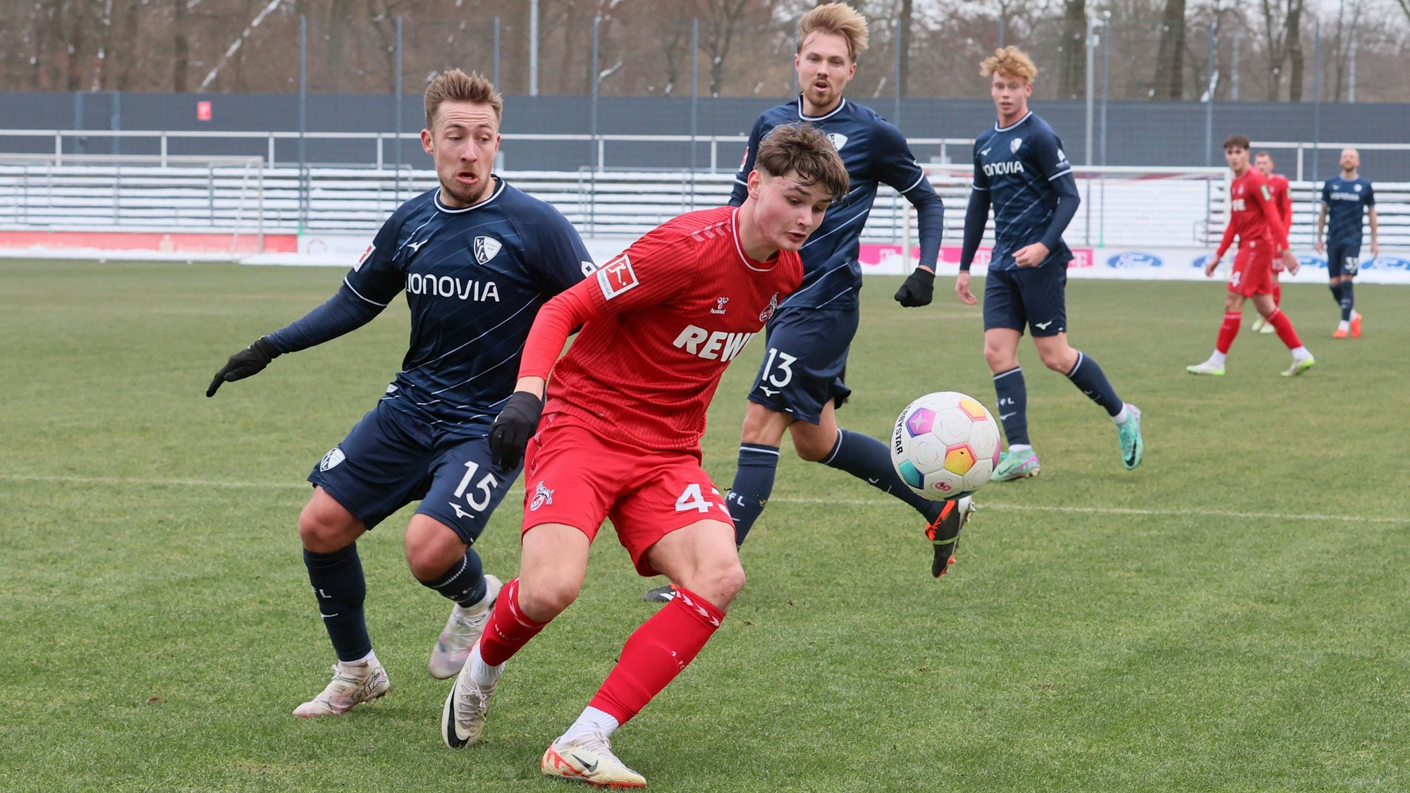 Testspiel, 1. FC Köln vs. VFL Bochum, 21.01.2024, von links: Felix Passlack VFL, Jaka Cuber-Potocnik 1. FC Köln, Bild: *** Sports test match, 1 FC Köln vs VFL Bochum, 21 01 2024, from left Felix Passlack VFL , Jaka Cuber Potocnik 1 FC Köln , picture