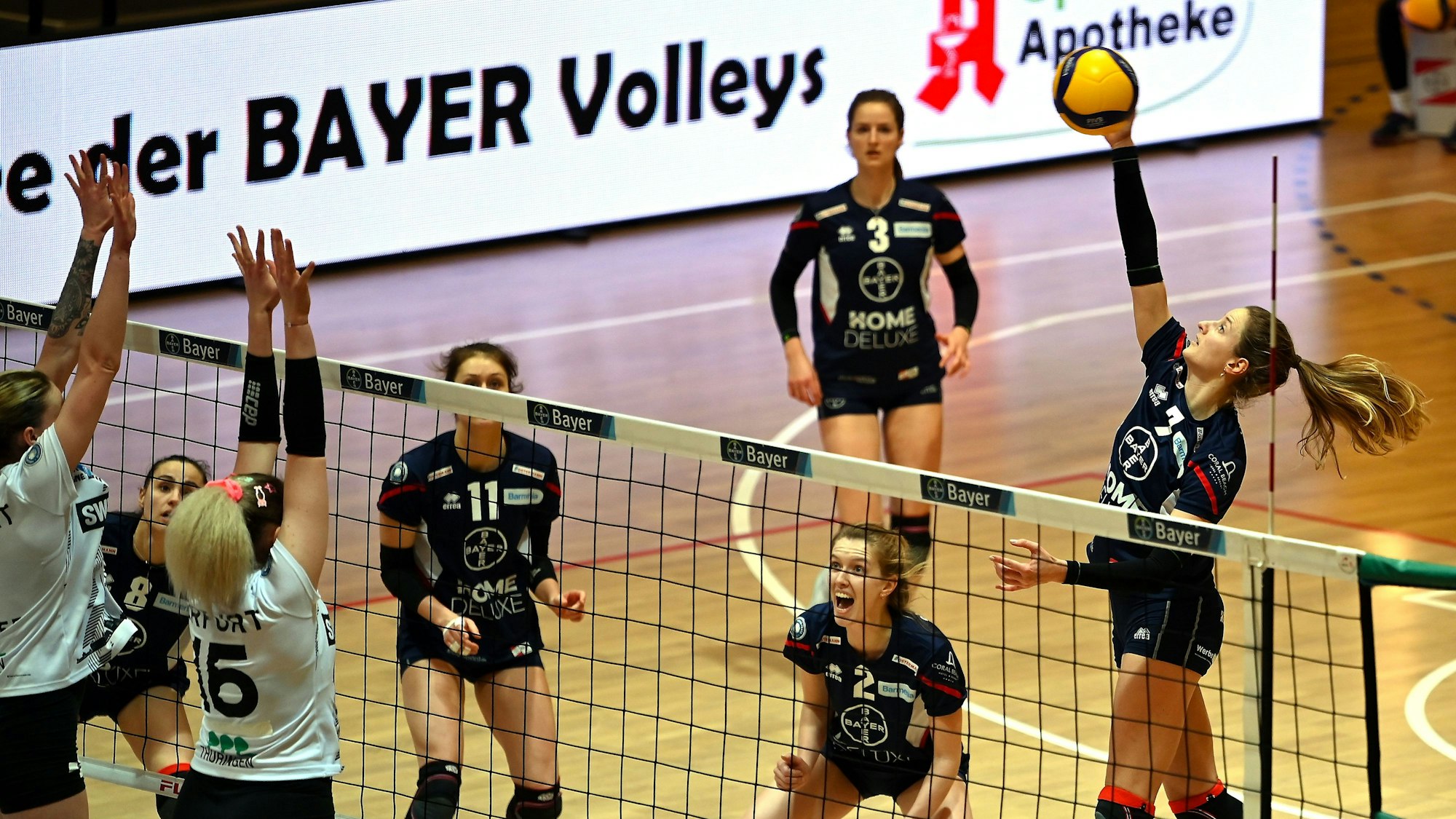 24.02.2024, Volleyball-Bayer - Erfurt
rechts: Lena Rößler (Bayer)
Foto: Uli Herhaus