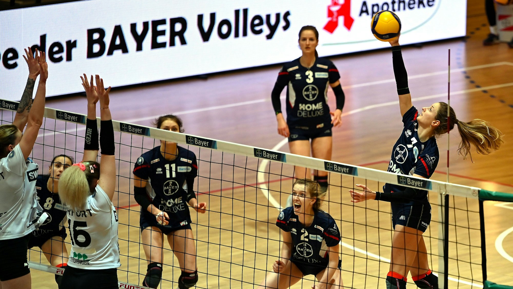 24.02.2024, Volleyball-Bayer - Erfurt
rechts: Lena Rößler (Bayer)
Foto: Uli Herhaus