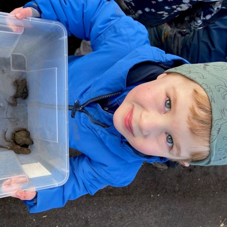 Auf dem Bild ist ein Junge mit Kröten zu sehen.