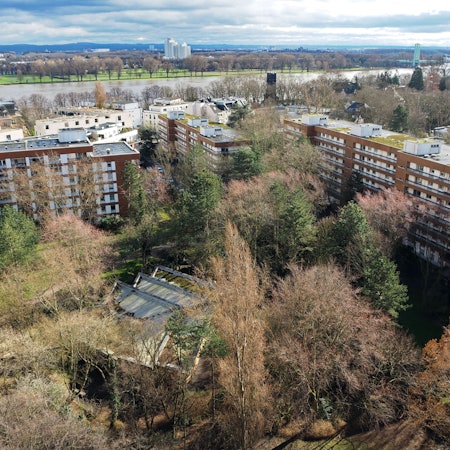 Blick auf mehrere Hochhäuser, im Hintergrund ist der Rhein zu sehen.