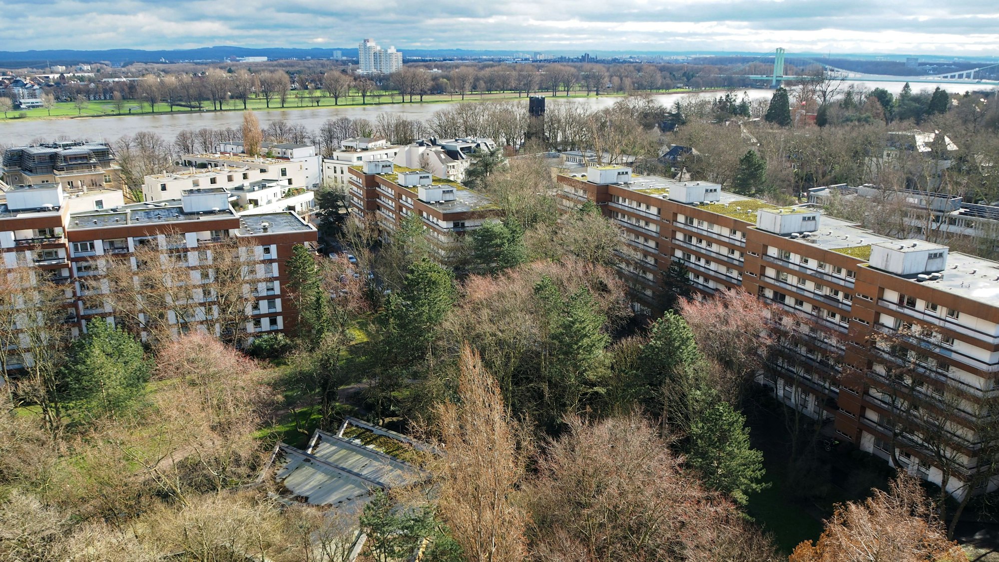 Blick auf mehrere Hochhäuser, im Hintergrund ist der Rhein zu sehen.