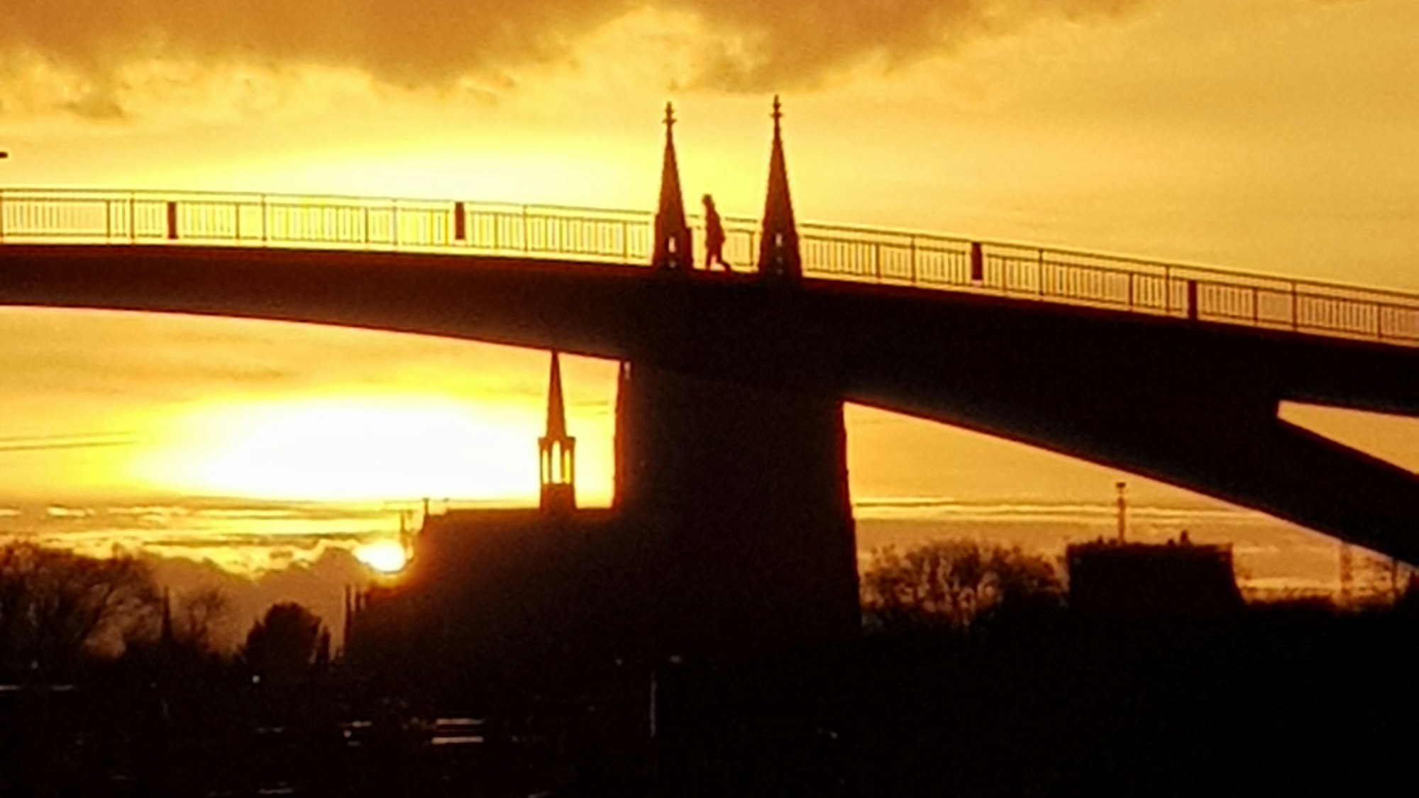 Kölner Dom erleuchtet bei einem Sonnenuntergang