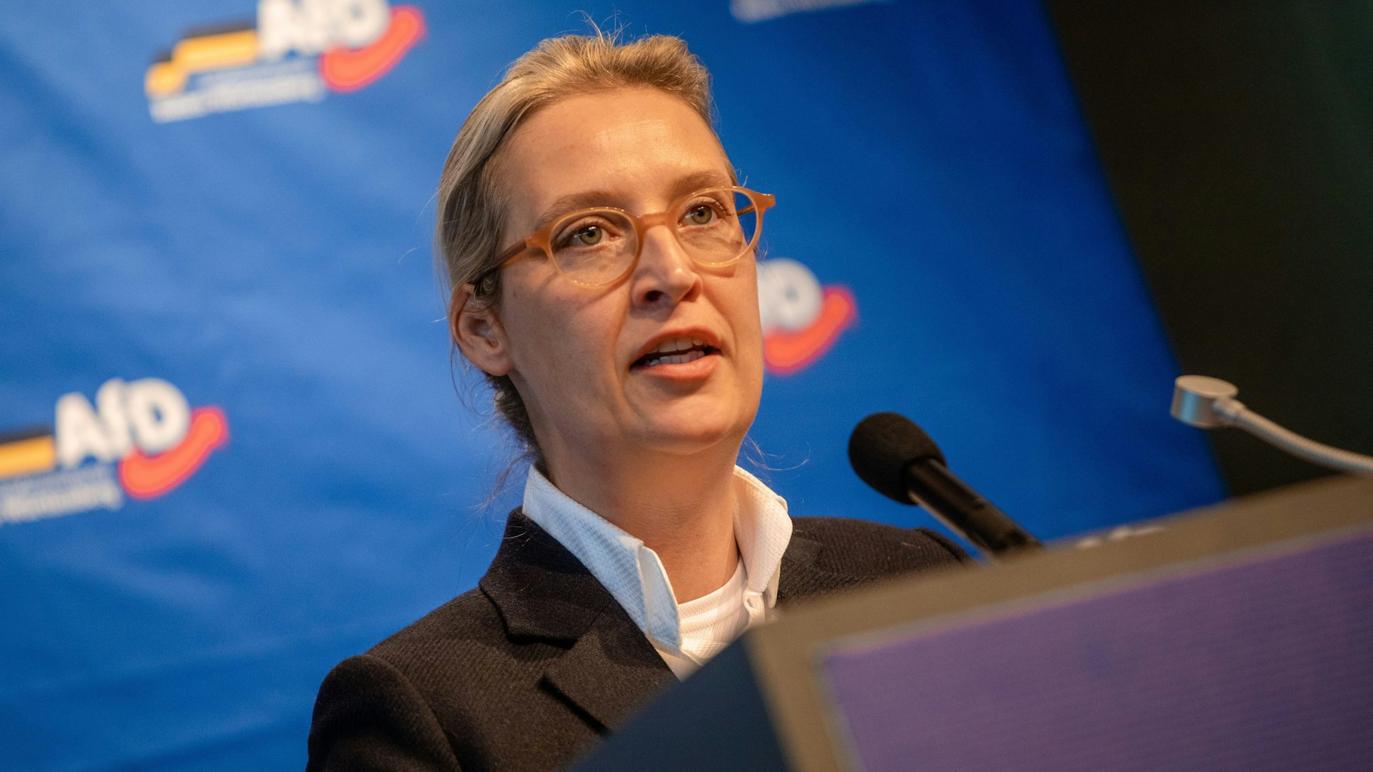 Alice Weidel, Bundessprecherin der AfD, spricht während des AfD-Landesparteitags in der Stadthalle zu Parteimitgliedern.