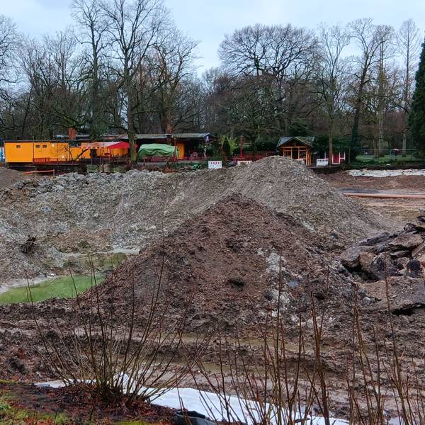 Ein Bagger steht auf dem Grund des Volksgartenweihers inmitten größerer Schlammberge.