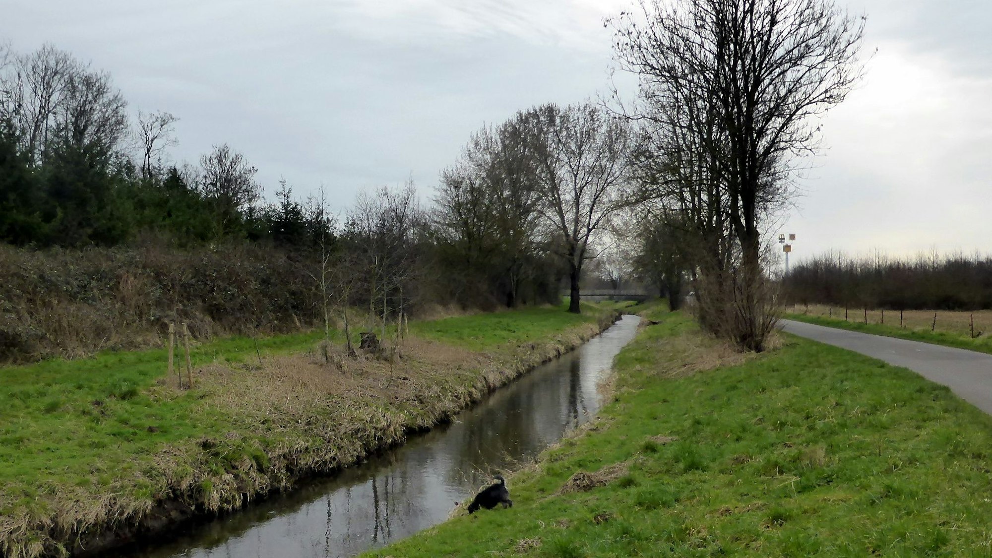 Der Weg führt an der Swist entlang.