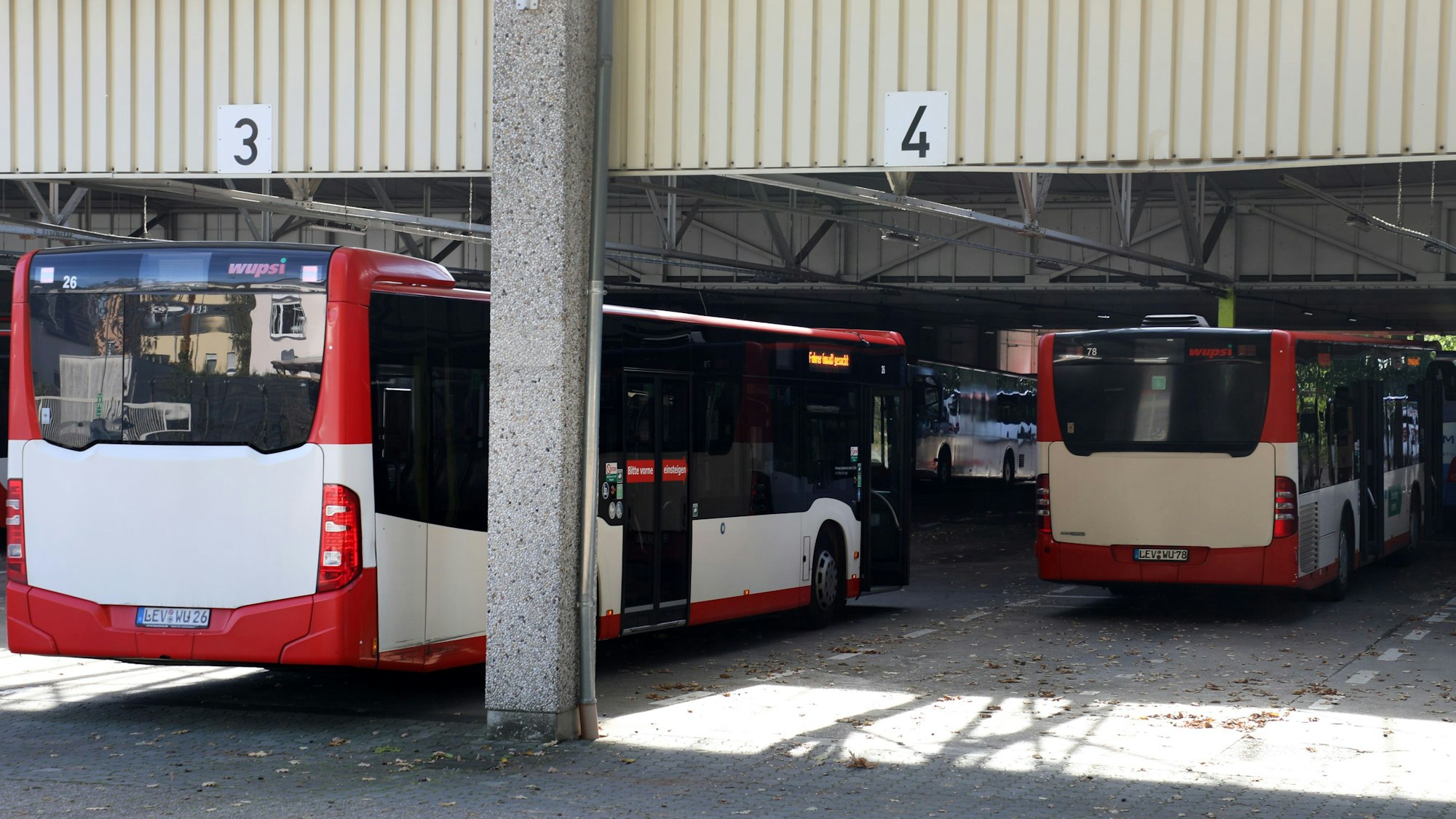 wupsi-leverkusen_ALF_2870