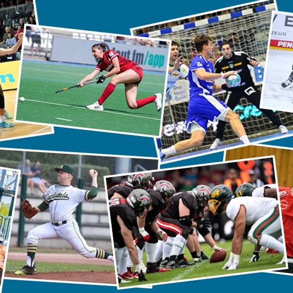 Eine Collage aus Bildern, die verschiedene Sportarten zeigen.