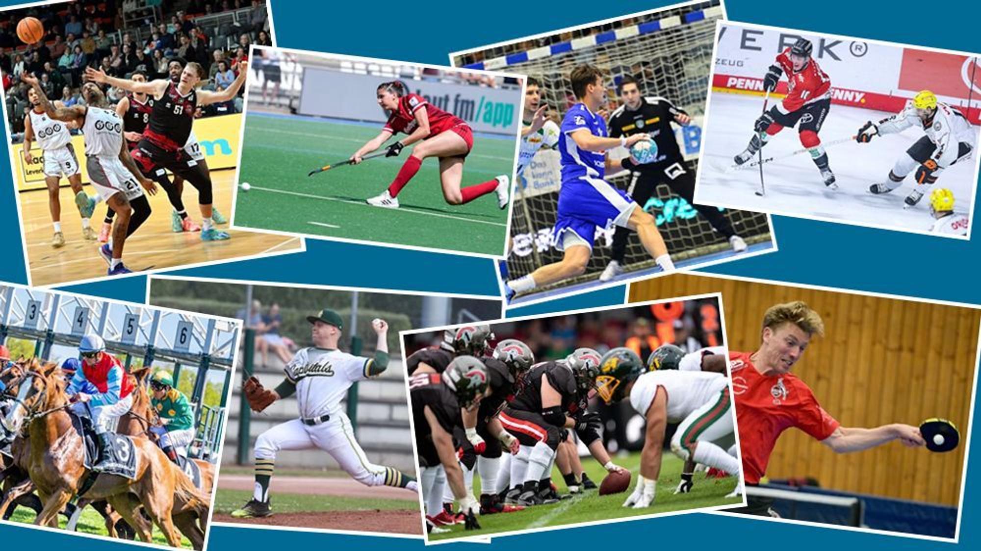 Eine Collage aus Bildern, die verschiedene Sportarten zeigen.
