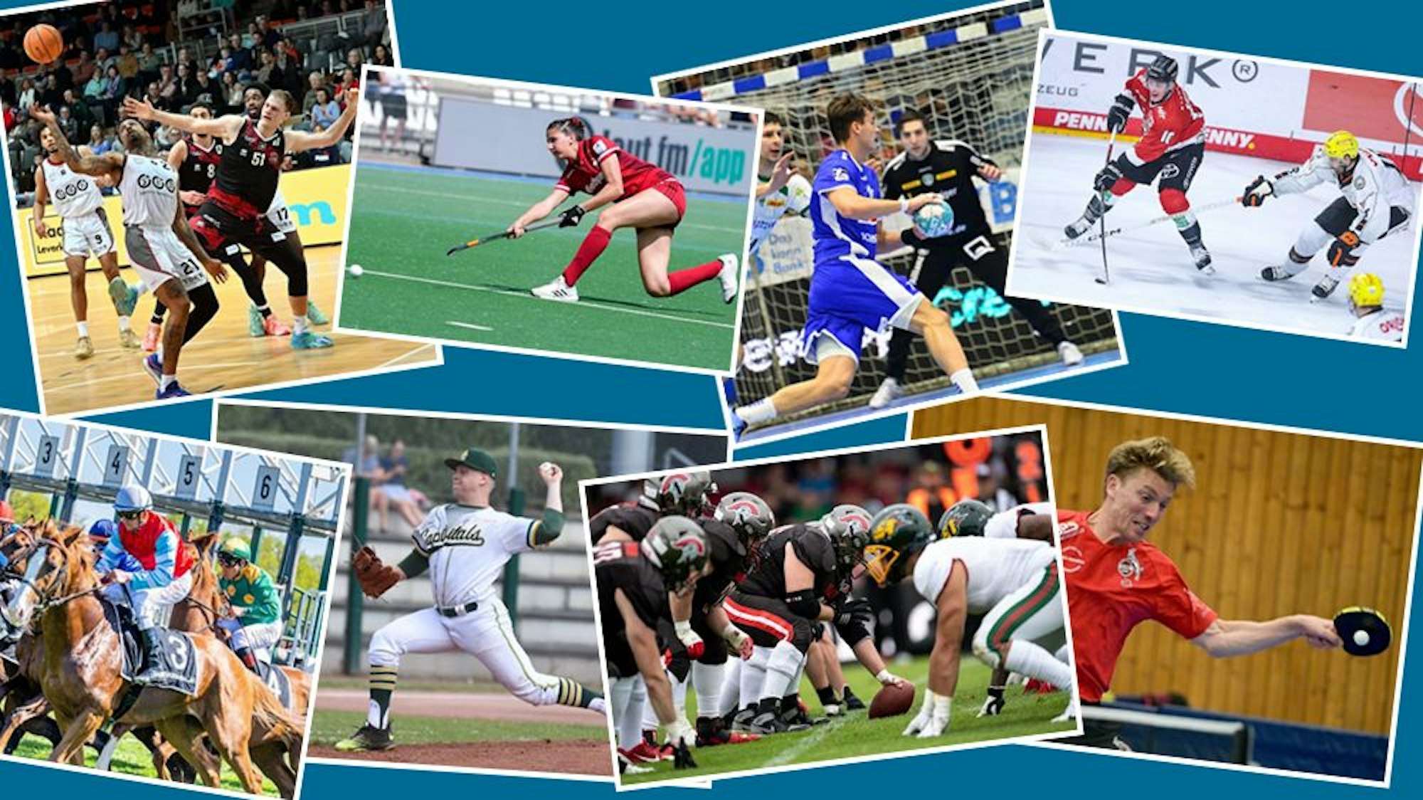 Eine Collage aus Bildern, die verschiedene Sportarten zeigen.