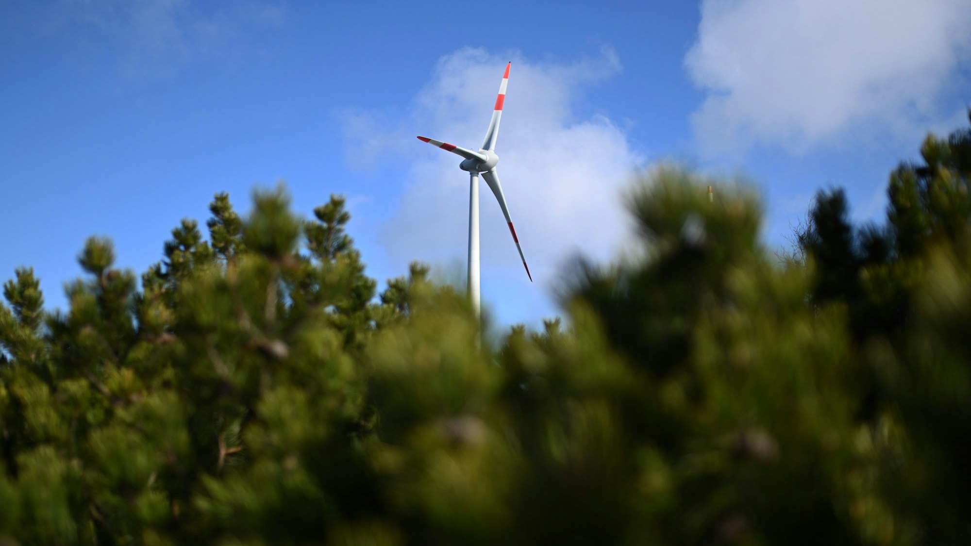 Ein Windrad.