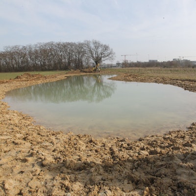 Initiator Andreas Fey freut sich demnächst über hoffentlich viele Amphibien.