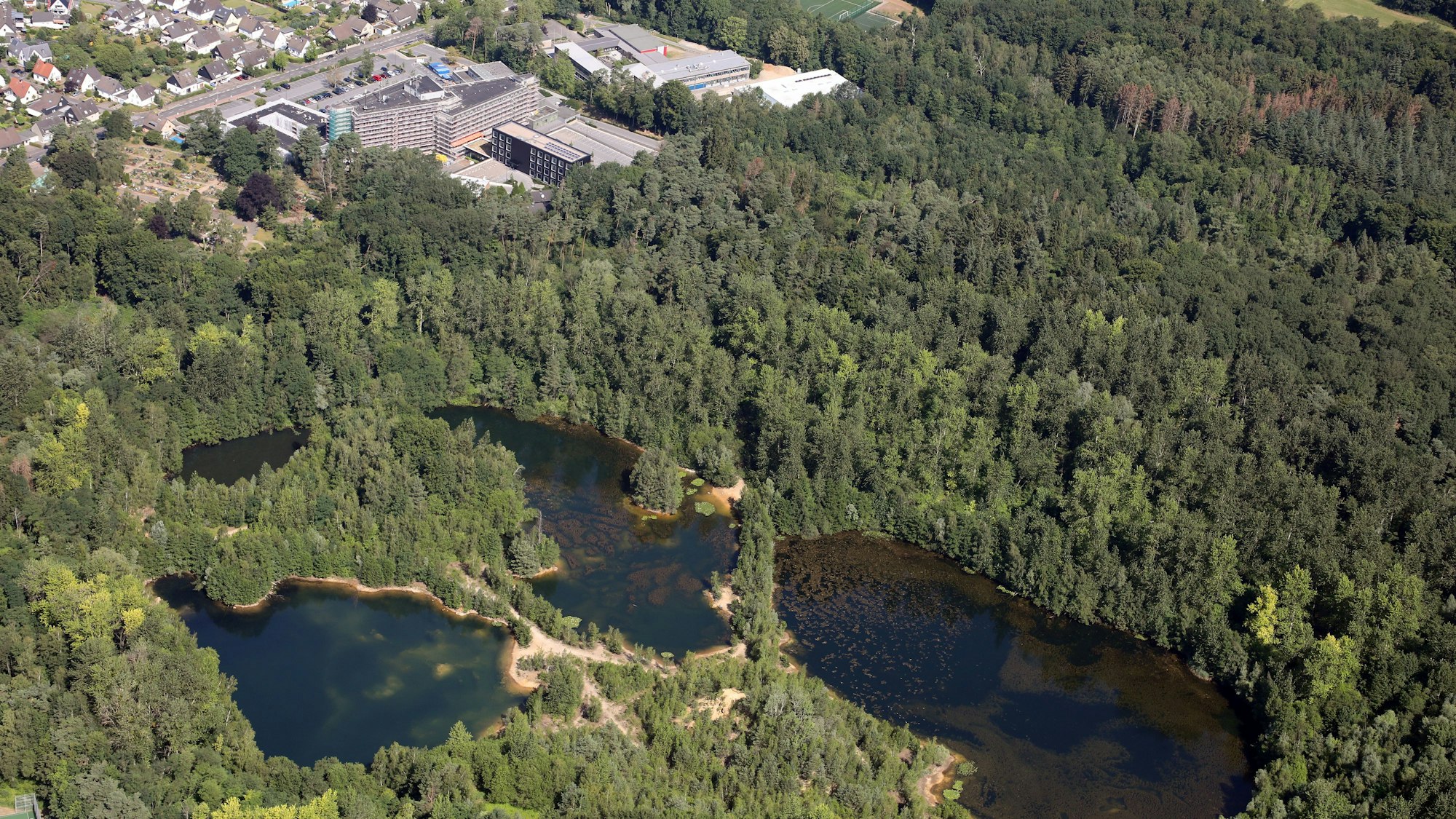 Das Foto zeigt Waldgebiete in Bergisch Gladbach