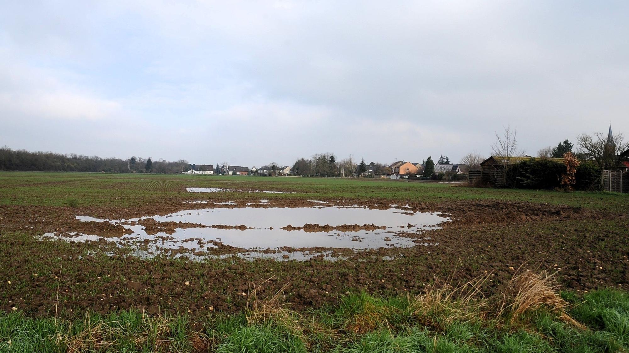 Zu sehen ist eine landwirtschaftliche Fläche in Bliesheim.